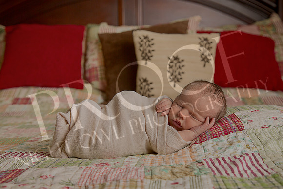 Nathan_0708