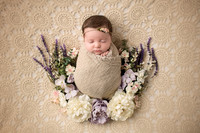 Baby Everly Harrington
