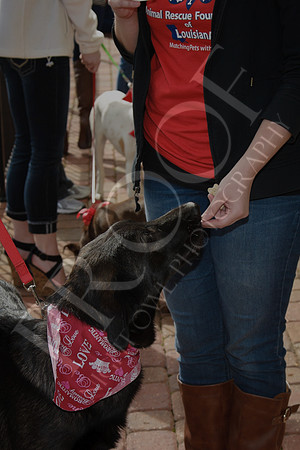 IMG_8713