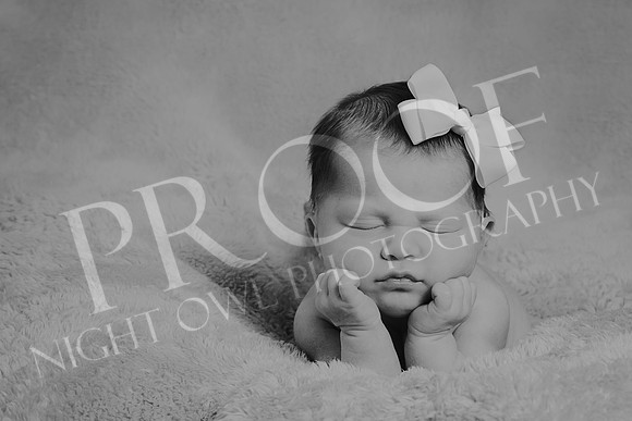 Ashley_7388