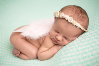 Baby Henlee