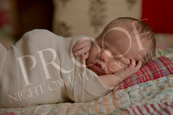 Nathan_0713