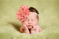 Ashley_7383