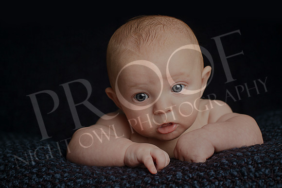Bennett_1686