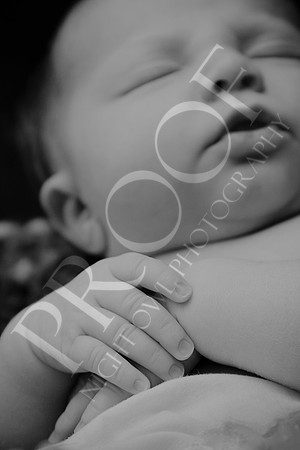 Ashley_7147