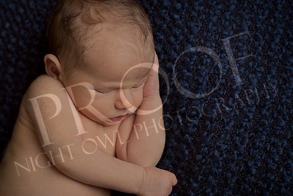 Nathan_0682
