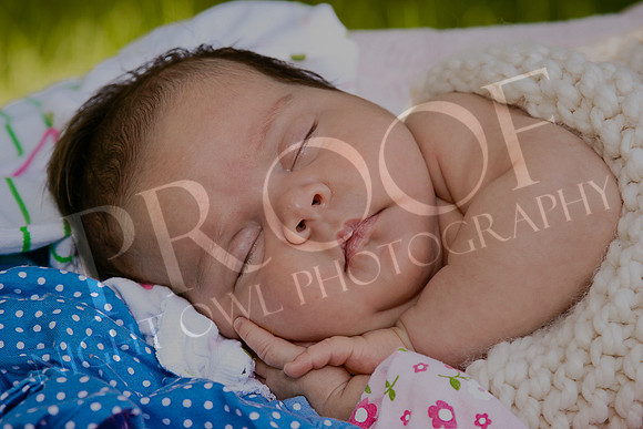 Peck2_5863