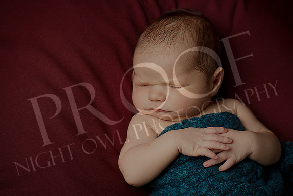 Rhett_3314