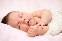 Peck2_5791