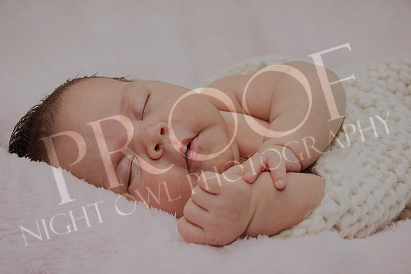 Peck2_5791