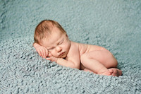 Baby Adelaide