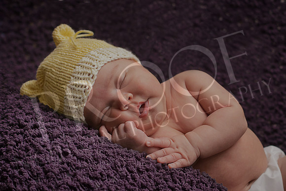 Peck2_5874