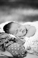 Peck2_5844