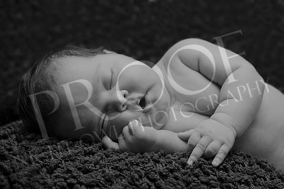 Peck2_5876