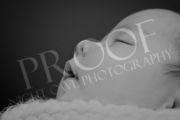 Peck2_5772