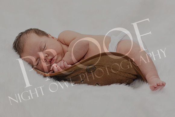 Peck2_5892