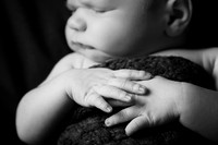 Rhett_0800